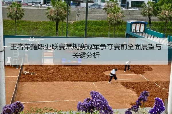 王者荣耀职业联赛常规赛冠军争夺赛前全面展望与关键分析
